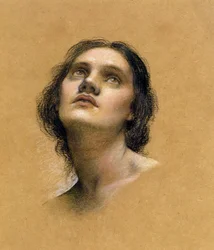 Study of a head
